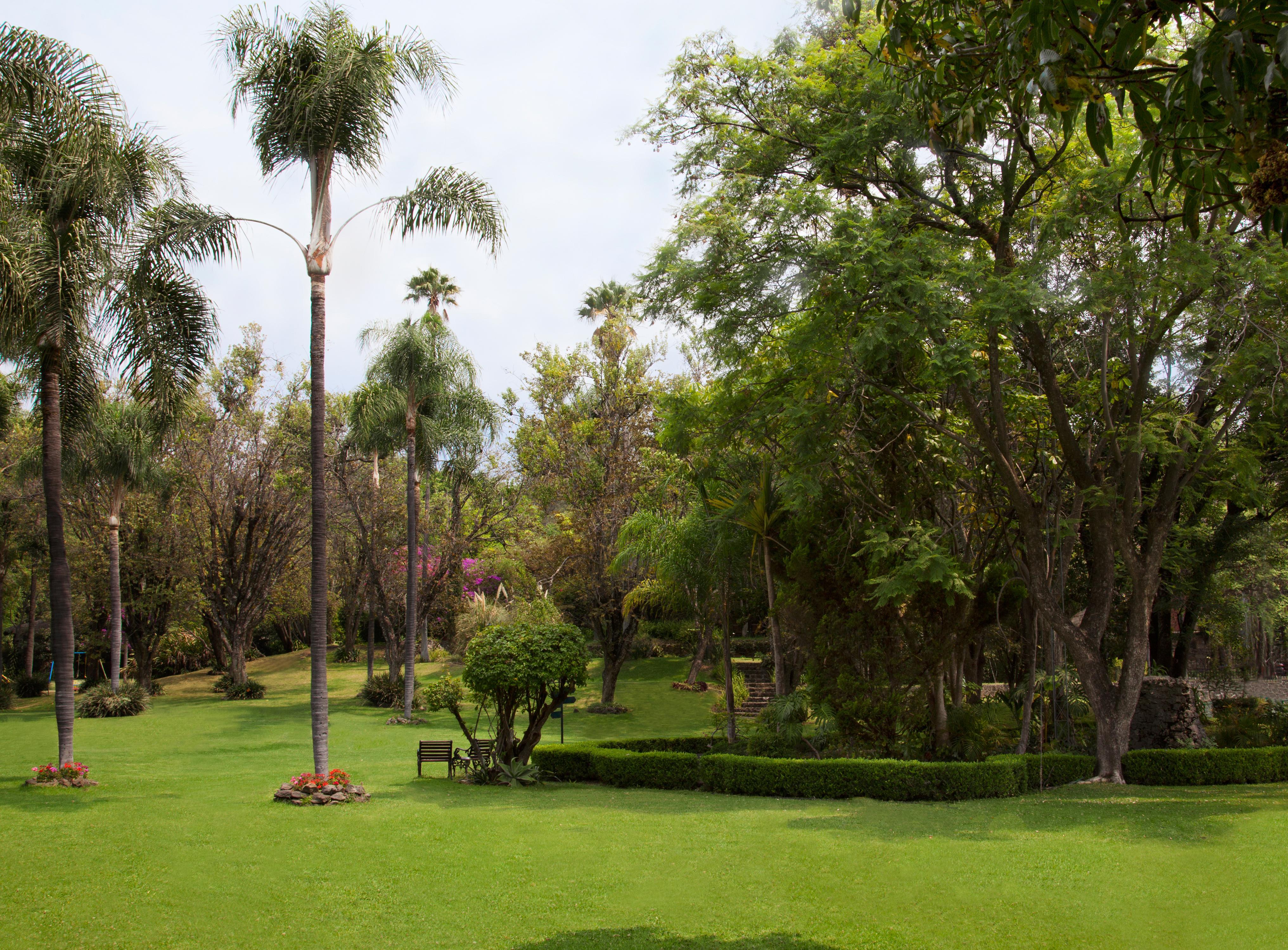 Hotel Racquet Cuernavaca Dış mekan fotoğraf